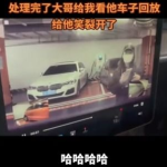 特斯拉车主小姐姐视频,驾驶体验与生活改变
